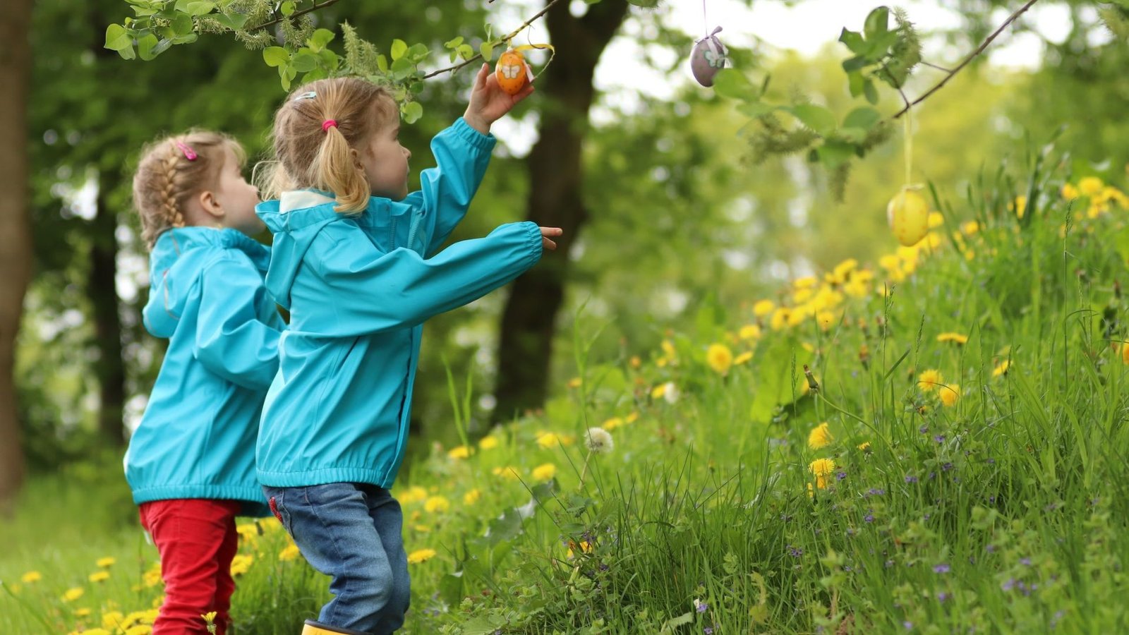 The Role of Schools in Promoting Environmental Stewardship