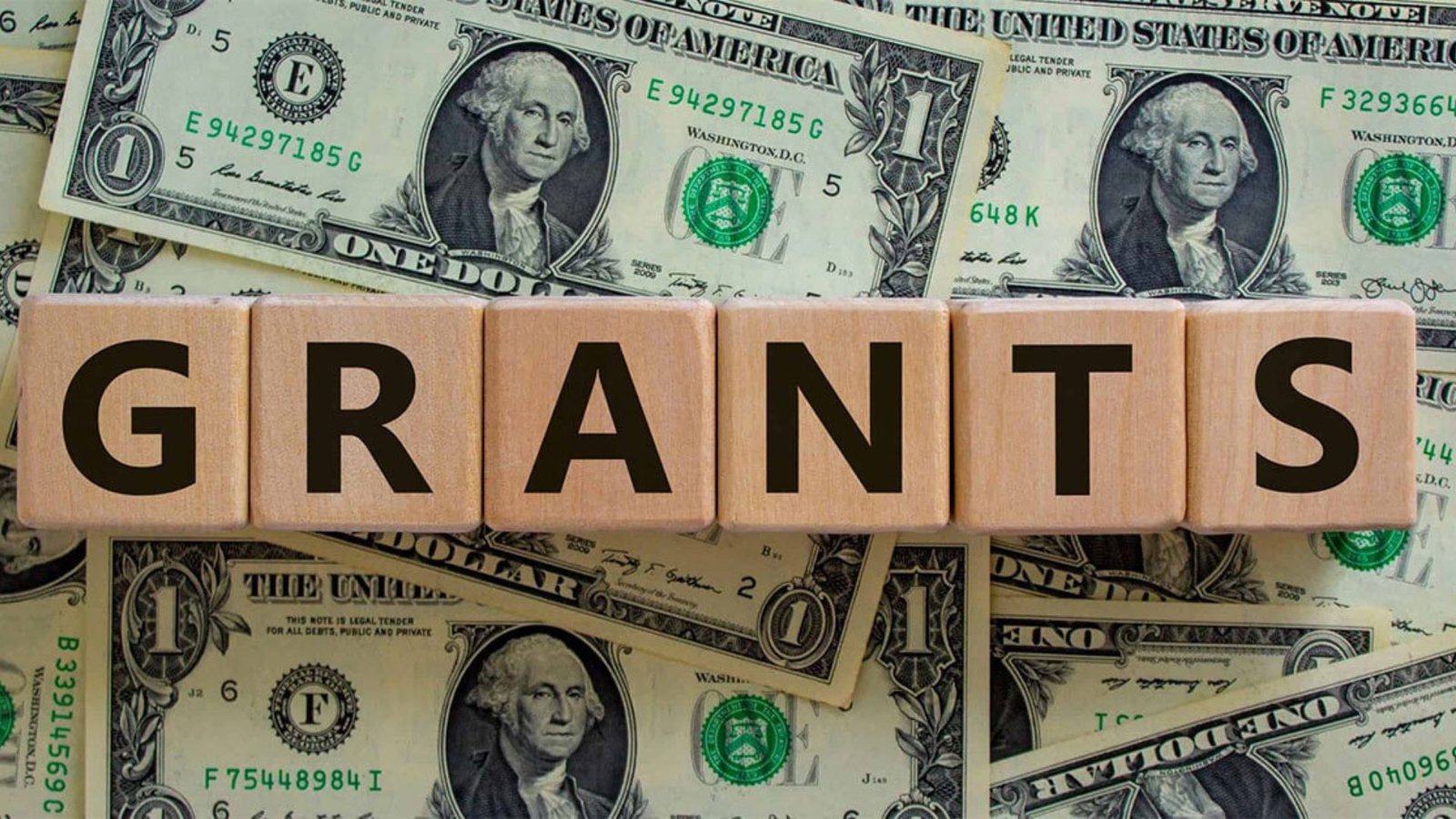 Accessing Government Grants and Funding