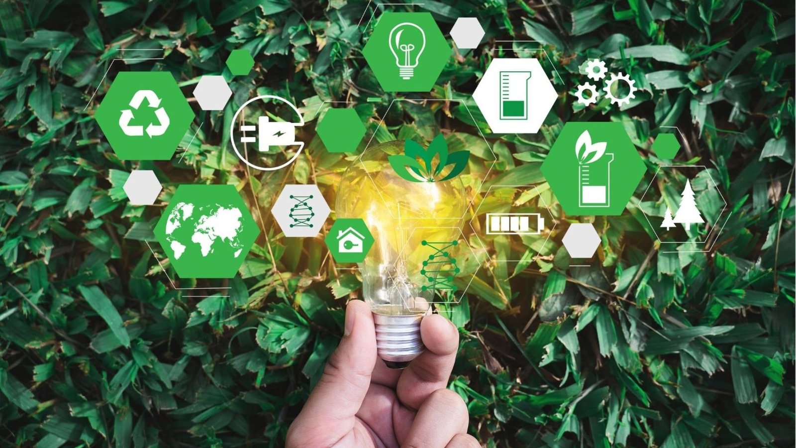 Implementing Green Business Practices